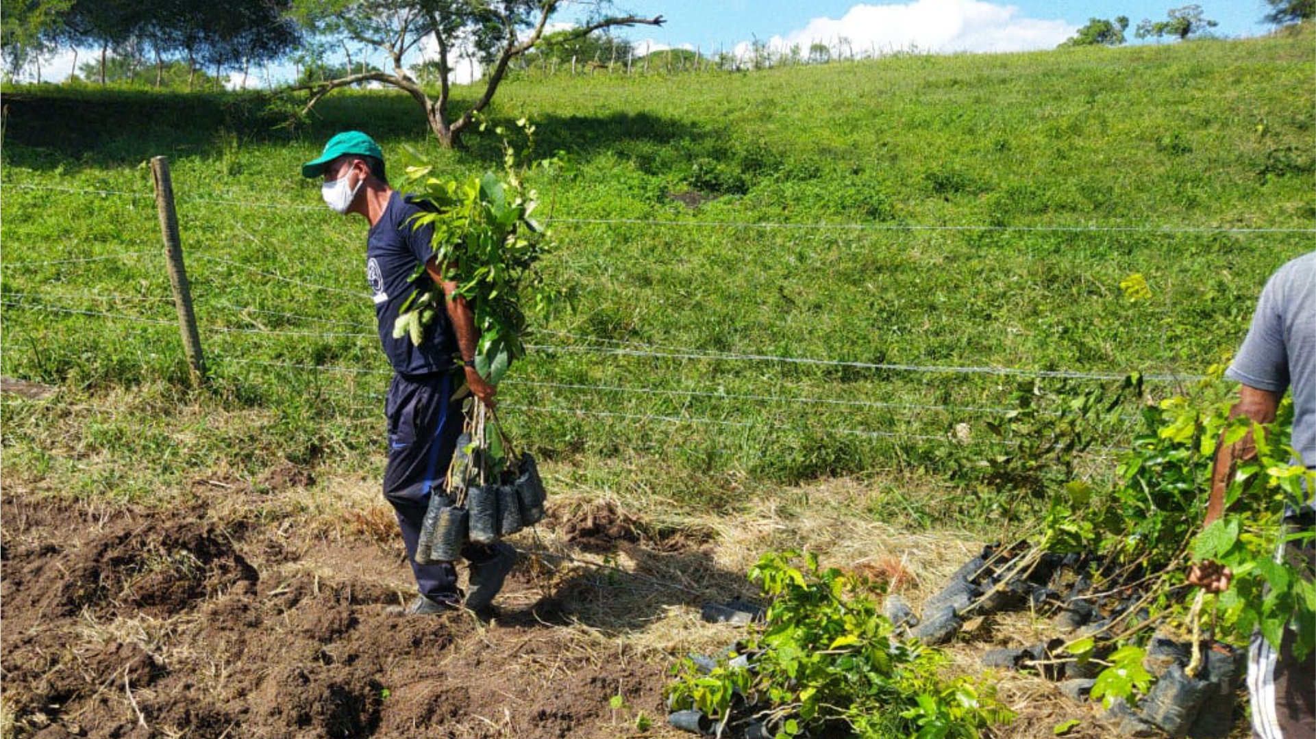 Reforestation operation in Brazil