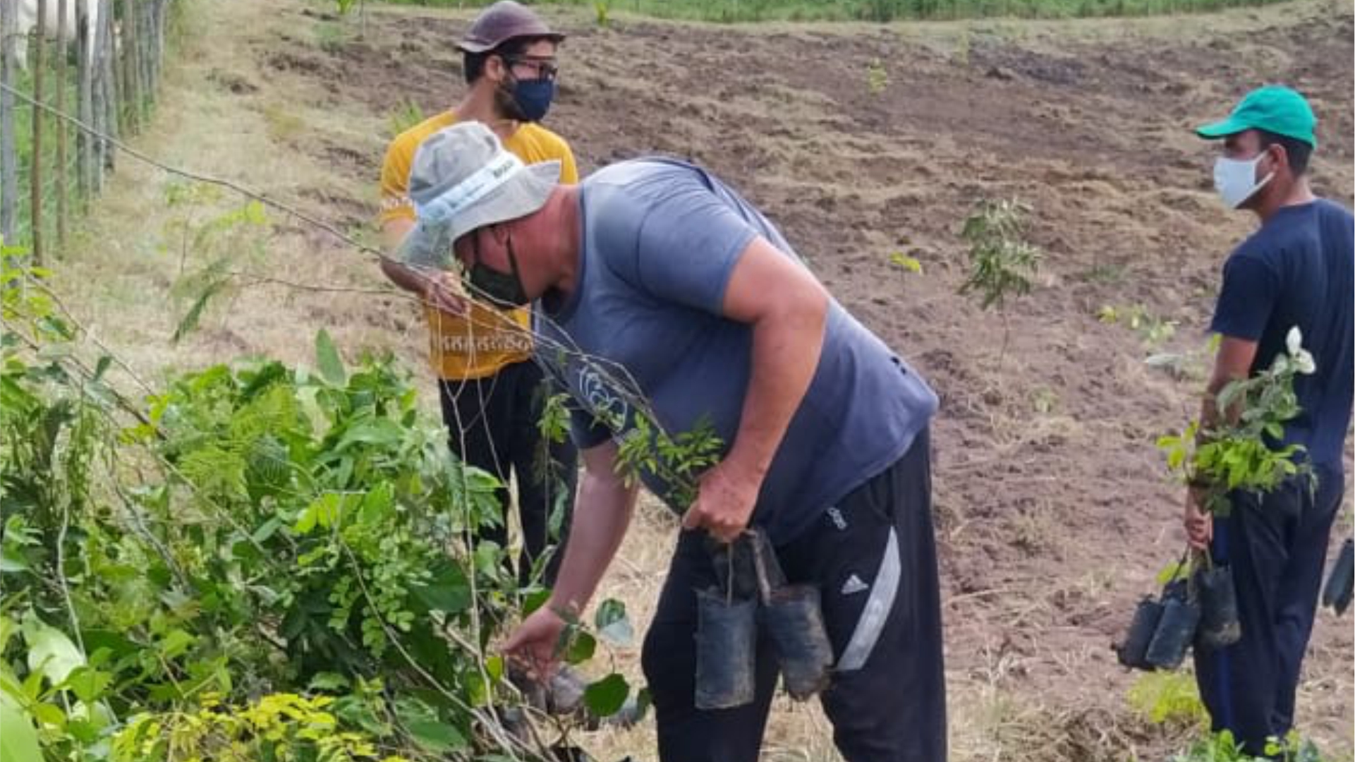 Reforestation operation in Brazil