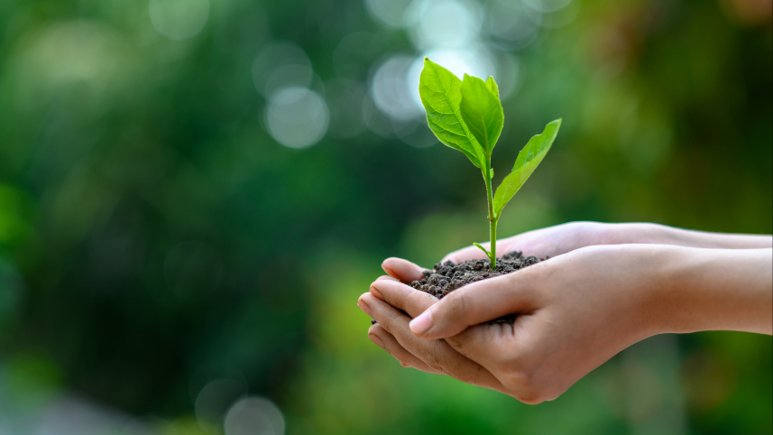Bitron Sustainability