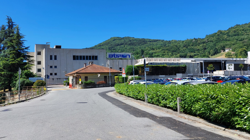 Bitron Rossana Plant